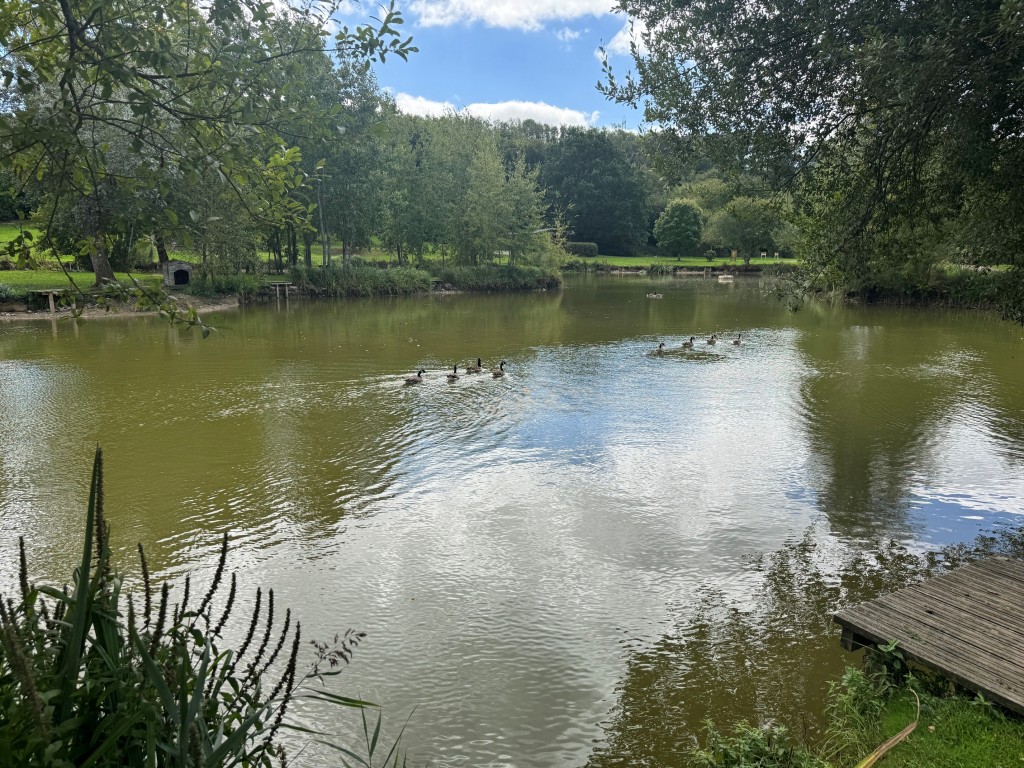 Lot: 71 - FREEHOLD TEN ACRE SITE WITH LAKES AND LODGES - Main Lake - view 4